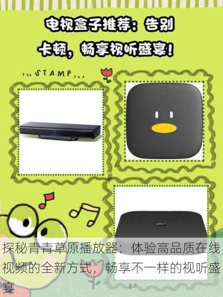 探秘青青草原播放器：体验高品质在线视频的全新方式，畅享不一样的视听盛宴