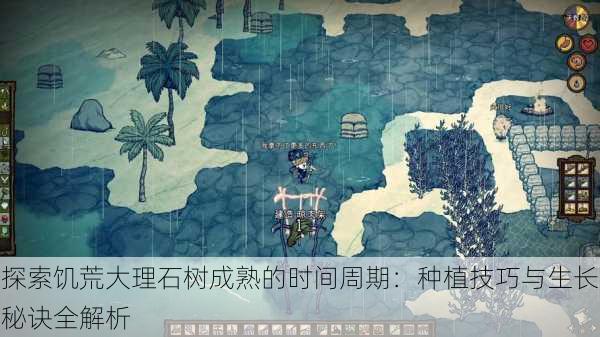 探索饥荒大理石树成熟的时间周期:种植技巧与生长秘诀全解析