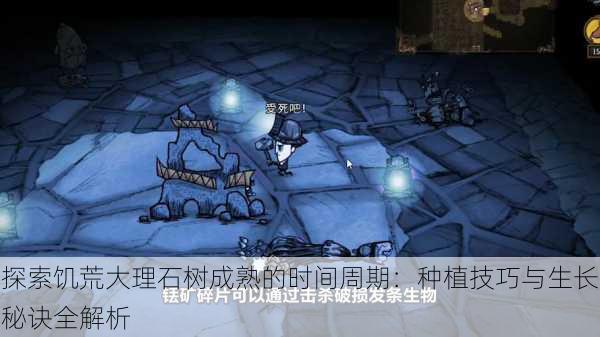 探索饥荒大理石树成熟的时间周期:种植技巧与生长秘诀全解析
