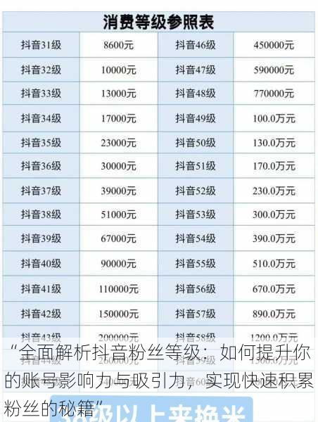 “全面解析抖音粉丝等级:如何提升你的账号影响力与吸引力,实现快速积累粉丝的秘籍”