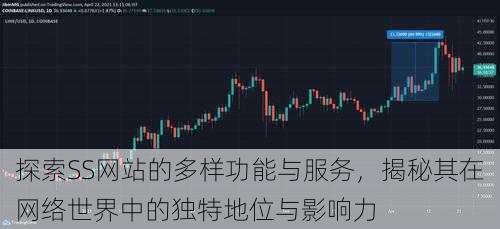 探索SS网站的多样功能与服务,揭秘其在网络世界中的独特地位与影响力