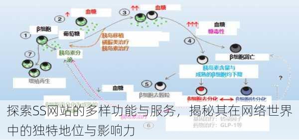 探索SS网站的多样功能与服务,揭秘其在网络世界中的独特地位与影响力