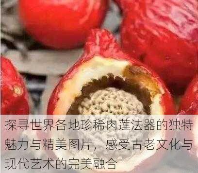 探寻世界各地珍稀肉莲法器的独特魅力与精美图片，感受古老文化与现代艺术的完美融合