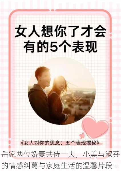 岳家两位娇妻共侍一夫,小美与淑芬的情感纠葛与家庭生活的温馨片段