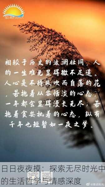 日日夜夜摸:探索无尽时光中的生活哲学与情感深度