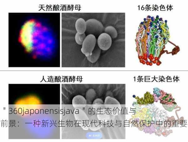 探索"360japonensisjava"的生态价值与应用前景:一种新兴生物在现代科技与自然保护中的重要性分析