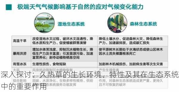 深入探讨:久热草的生长环境、特性及其在生态系统中的重要作用