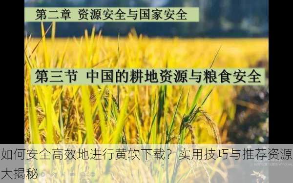 如何安全高效地进行黄软下载?实用技巧与推荐资源大揭秘
