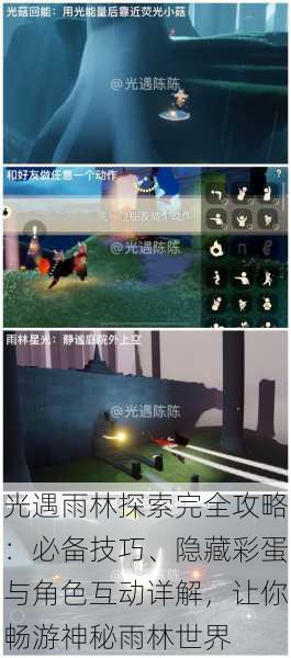 光遇雨林探索完全攻略:必备技巧、隐藏彩蛋与角色互动详解,让你畅游神秘雨林世界