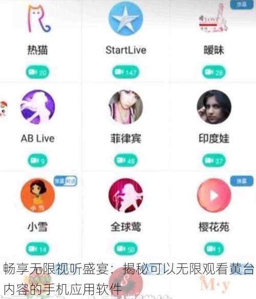 畅享无限视听盛宴:揭秘可以无限观看黄台内容的手机应用软件