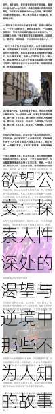 欲望公交:探索人性深处的渴望与逆境中那些不为人知的故事