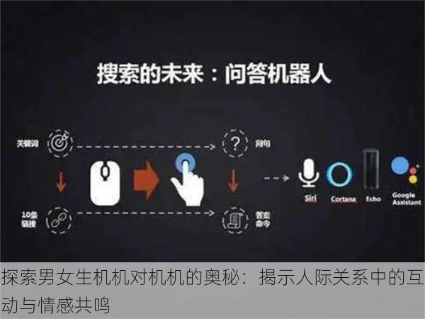探索男女生机机对机机的奥秘:揭示人际关系中的互动与情感共鸣