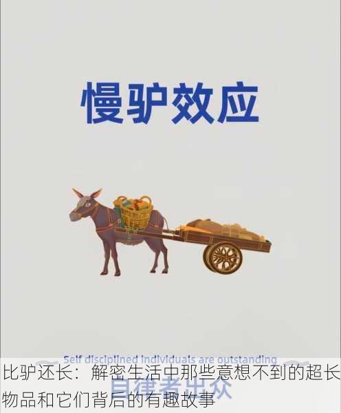 比驴还长：解密生活中那些意想不到的超长物品和它们背后的有趣故事