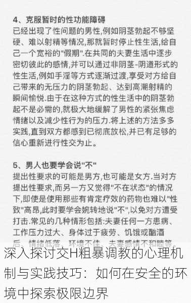 深入探讨交H粗暴调教的心理机制与实践技巧:如何在安全的环境中探索极限边界