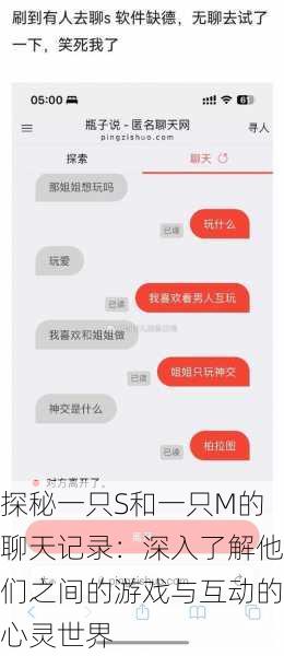 探秘一只S和一只M的聊天记录:深入了解他们之间的游戏与互动的心灵世界