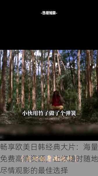 畅享欧美日韩经典大片：海量免费高清资源，让你随时随地尽情观影的最佳选择