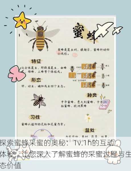 探索蜜蜂采蜜的奥秘:1v.1h的互动体验,让您深入了解蜜蜂的采蜜过程与生态价值