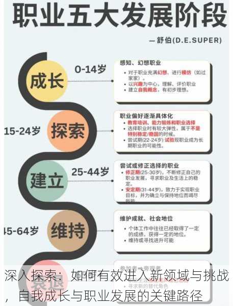 深入探索:如何有效进入新领域与挑战,自我成长与职业发展的关键路径