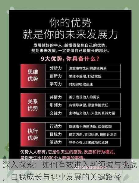 深入探索：如何有效进入新领域与挑战，自我成长与职业发展的关键路径