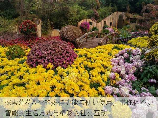 探索菊花APP的多样功能与便捷使用，带你体验更智能的生活方式与精彩的社交互动