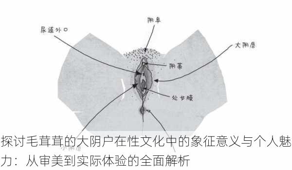 探讨毛茸茸的大阴户在性文化中的象征意义与个人魅力:从审美到实际体验的全面解析