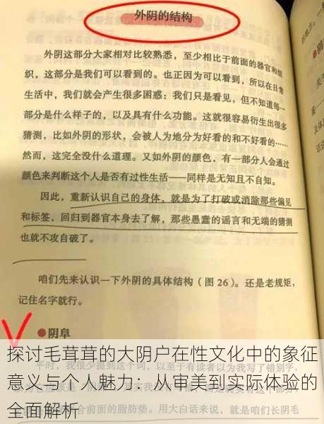 探讨毛茸茸的大阴户在性文化中的象征意义与个人魅力:从审美到实际体验的全面解析