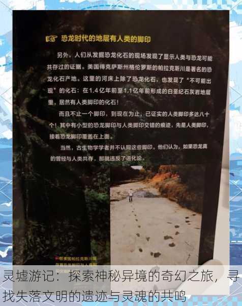 灵墟游记：探索神秘异境的奇幻之旅，寻找失落文明的遗迹与灵魂的共鸣