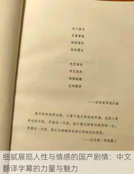 细腻展现人性与情感的国产剧情:中文翻译字幕的力量与魅力