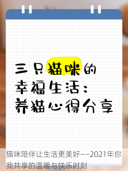猫咪陪伴让生活更美好——2021年你我共享的温暖与快乐时刻