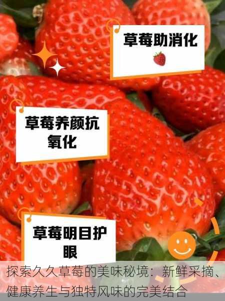 探索久久草莓的美味秘境:新鲜采摘、健康养生与独特风味的完美结合