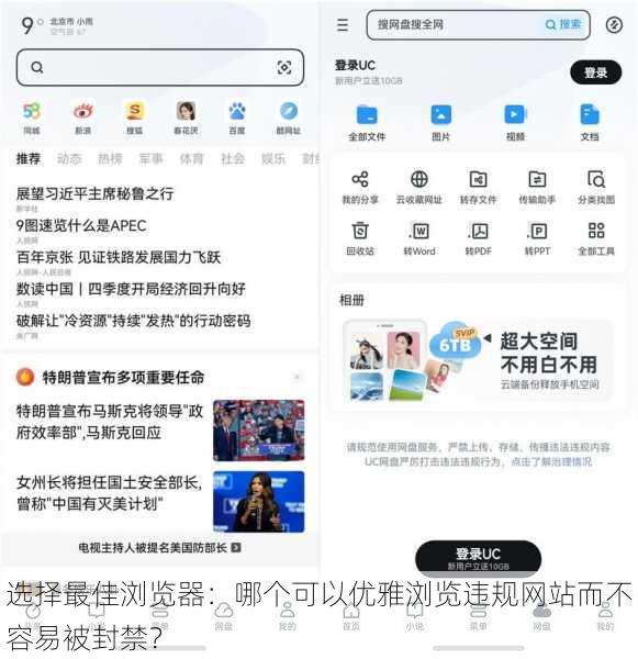 选择最佳浏览器:哪个可以优雅浏览违规网站而不容易被封禁?