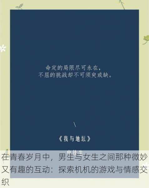 在青春岁月中,男生与女生之间那种微妙又有趣的互动:探索机机的游戏与情感交织