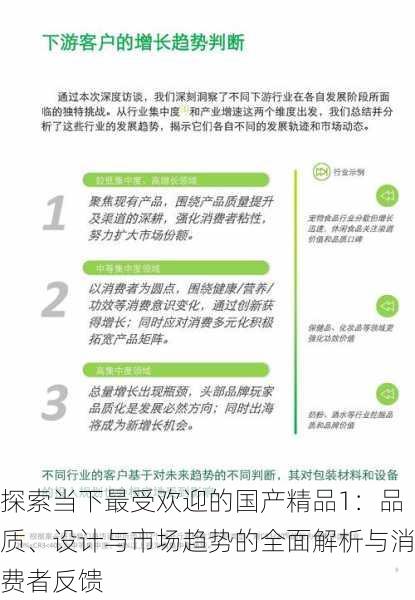 探索当下最受欢迎的国产精品1:品质、设计与市场趋势的全面解析与消费者反馈