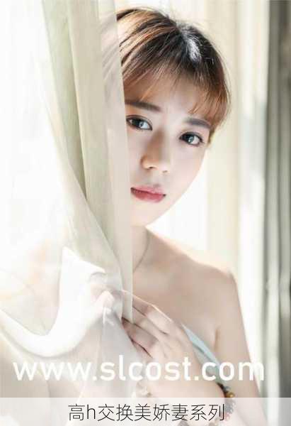 高h交换美娇妻系列