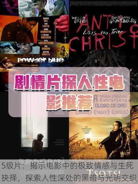 5级片:揭示电影中的极致情感与生死抉择,探索人性深处的黑暗与光明交织