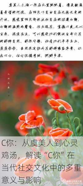C你:从虞美人到心灵鸡汤,解读“C你”在当代社交文化中的多重意义与影响