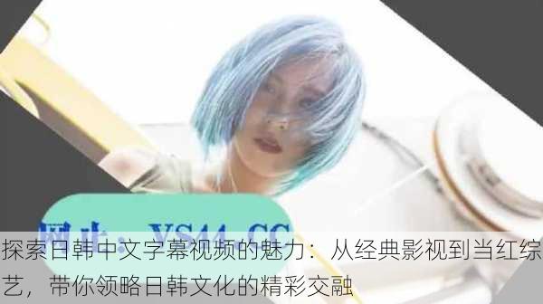 探索日韩中文字幕视频的魅力:从经典影视到当红综艺,带你领略日韩文化的精彩交融