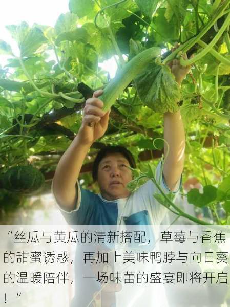 “丝瓜与黄瓜的清新搭配,草莓与香蕉的甜蜜诱惑,再加上美味鸭脖与向日葵的温暖陪伴,一场味蕾的盛宴即将开启!”
