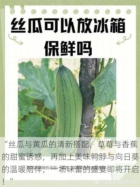 “丝瓜与黄瓜的清新搭配，草莓与香蕉的甜蜜诱惑，再加上美味鸭脖与向日葵的温暖陪伴，一场味蕾的盛宴即将开启！”