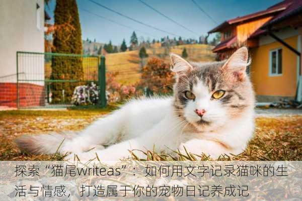 探索“猫尾writeas”：如何用文字记录猫咪的生活与情感，打造属于你的宠物日记养成记