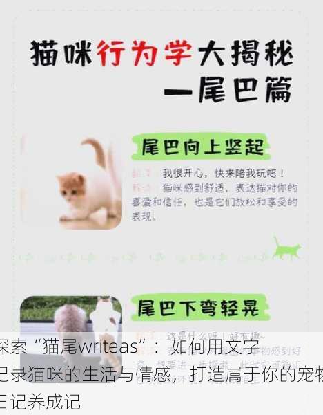 探索“猫尾writeas”：如何用文字记录猫咪的生活与情感，打造属于你的宠物日记养成记