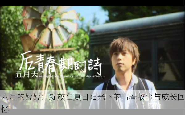 六月的婷婷:绽放在夏日阳光下的青春故事与成长回忆