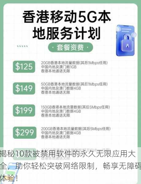 揭秘10款被禁用软件的永久无限应用大全,助你轻松突破网络限制,畅享无障碍体验!