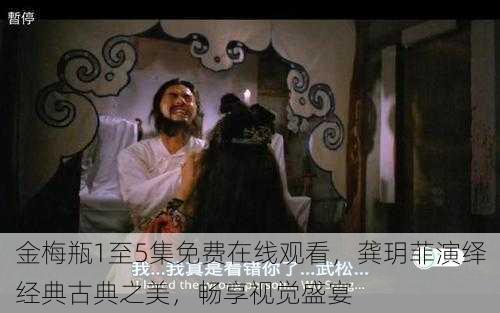 金梅瓶1至5集免费在线观看,龚玥菲演绎经典古典之美,畅享视觉盛宴