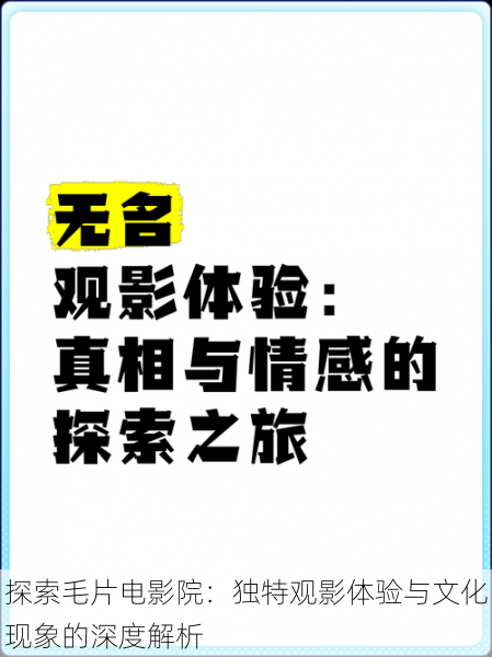 探索毛片电影院：独特观影体验与文化现象的深度解析