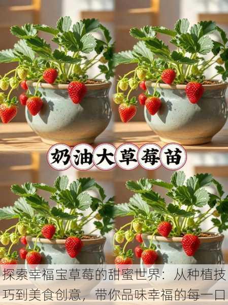 探索幸福宝草莓的甜蜜世界：从种植技巧到美食创意，带你品味幸福的每一口