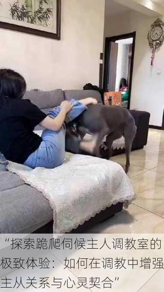 “探索跪爬伺候主人调教室的极致体验：如何在调教中增强主从关系与心灵契合”