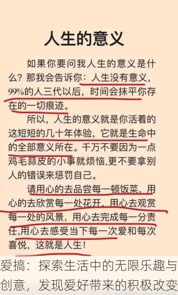 爱搞：探索生活中的无限乐趣与创意，发现爱好带来的积极改变