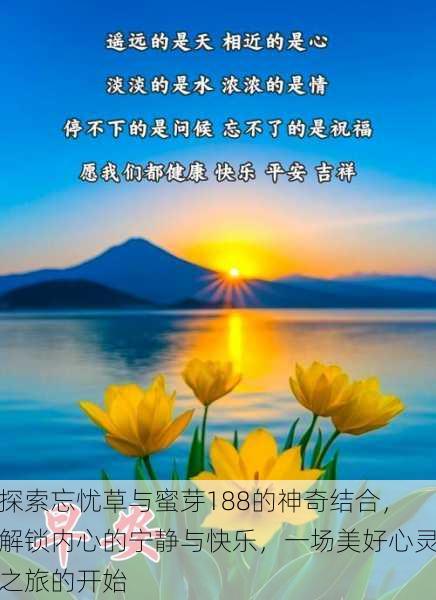 探索忘忧草与蜜芽188的神奇结合，解锁内心的宁静与快乐，一场美好心灵之旅的开始