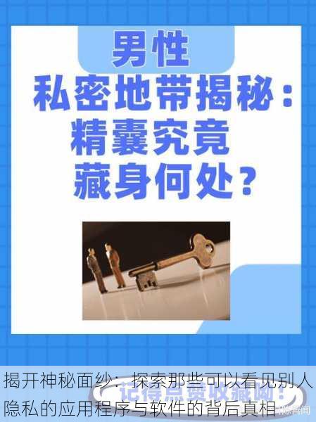 揭开神秘面纱：探索那些可以看见别人隐私的应用程序与软件的背后真相
